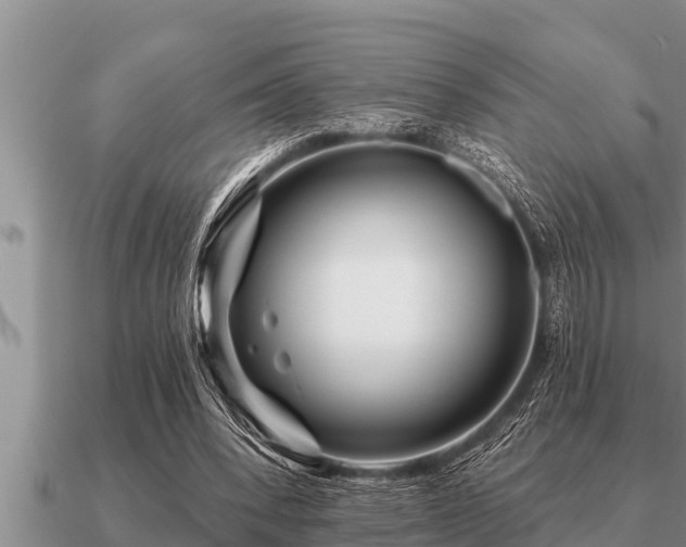 X0000091090392200708061642