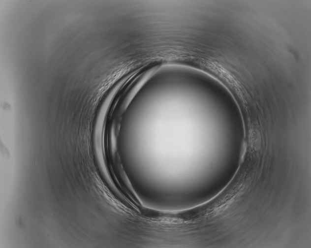X0000091090393200708061642