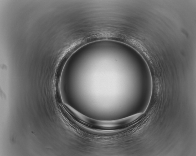 X0000091090395200708061642