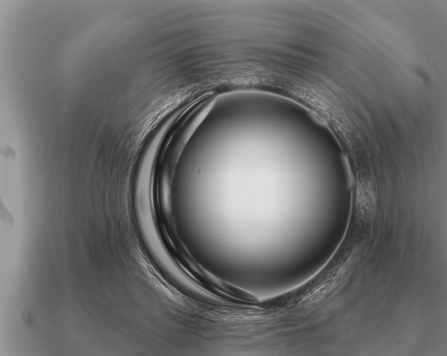 X0000091090397200708061642
