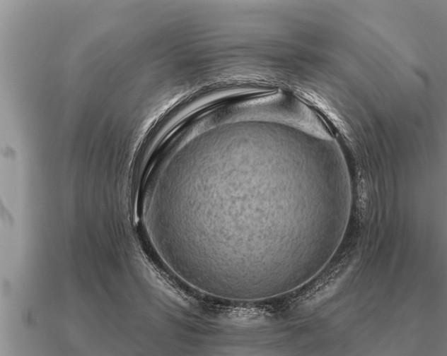 X0000091090399200708061642
