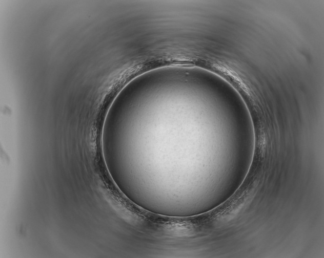 X0000091090402200708061642