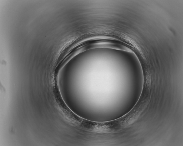X0000091090403200708061641