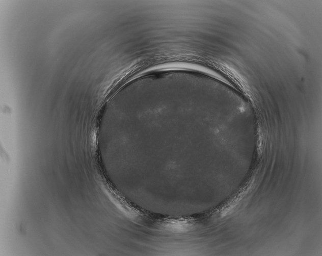 X0000091090405200708061641