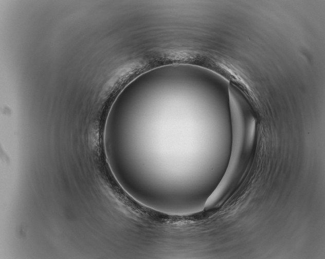 X0000091090407200708061641