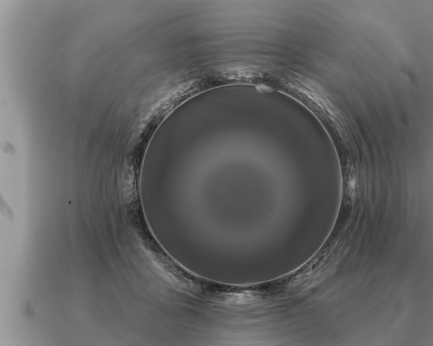 X0000091090411200708061641