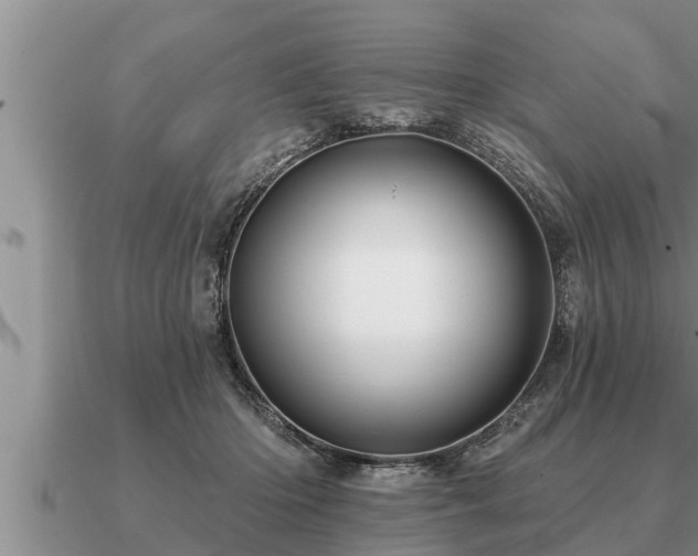 X0000091090414200708061641