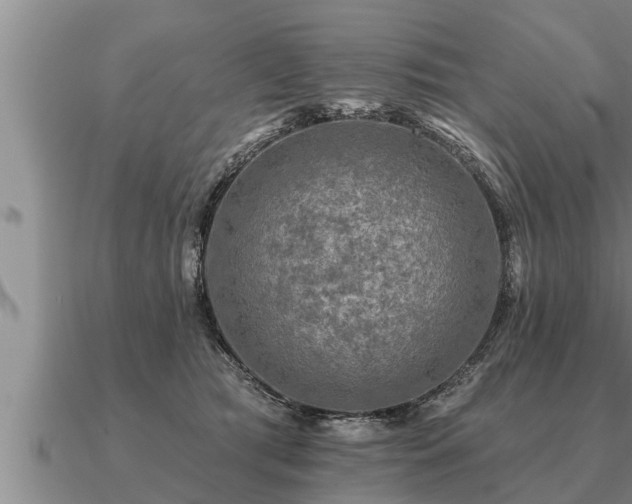 X0000091090417200708061641
