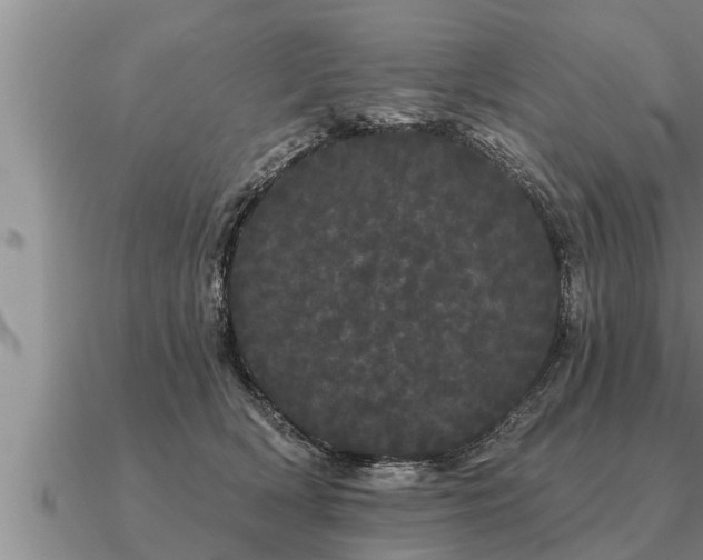 X0000091090418200708061641