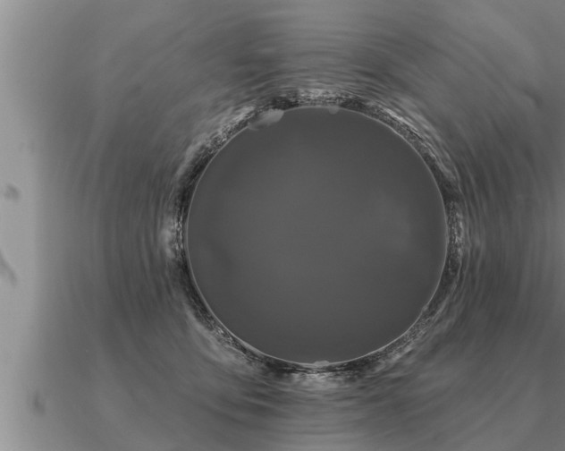 X0000091090419200708061641