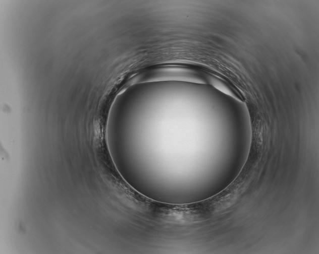 X0000091090420200708061641