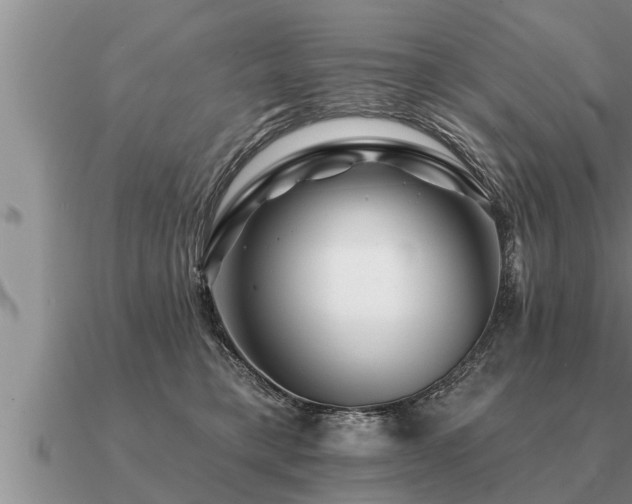 X0000091090421200708061641