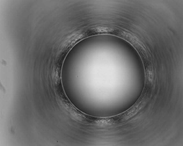 X0000091090422200708061641