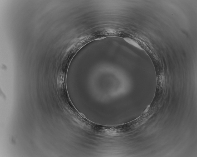 X0000091090423200708061641