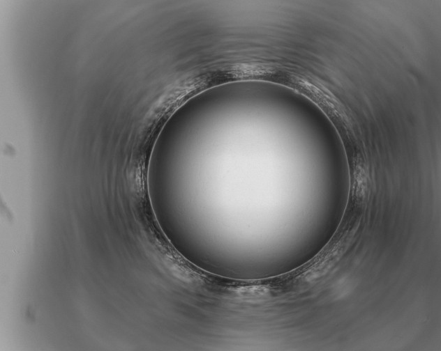 X0000091090426200708061641