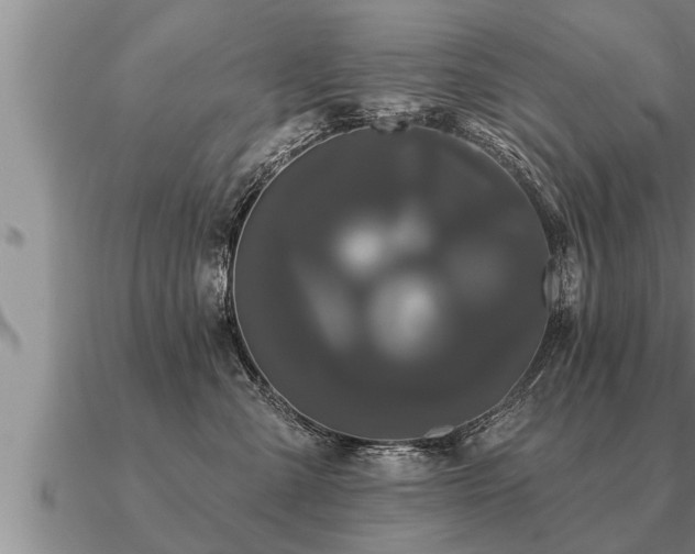 X0000091090427200708061641