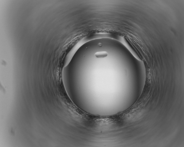 X0000091090428200708061641