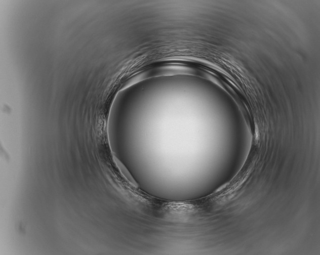X0000091090429200708061641