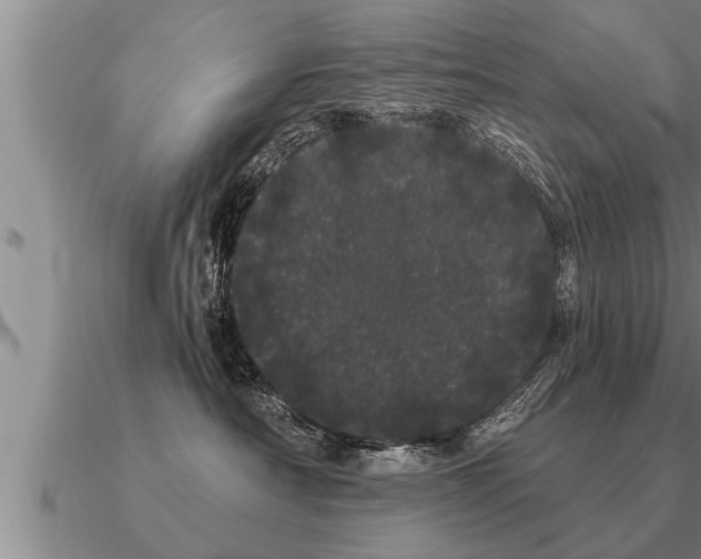 X0000091090430200708061641