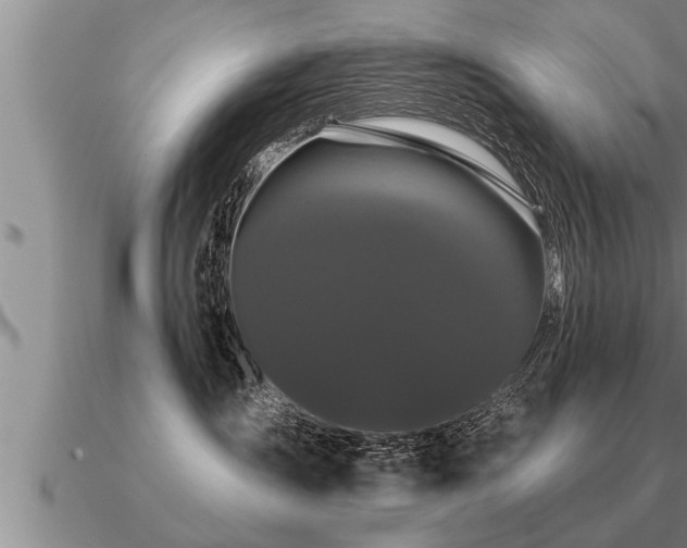 X0000091090431200708061641