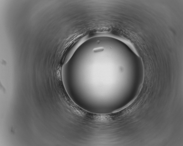 X0000091090432200708061641