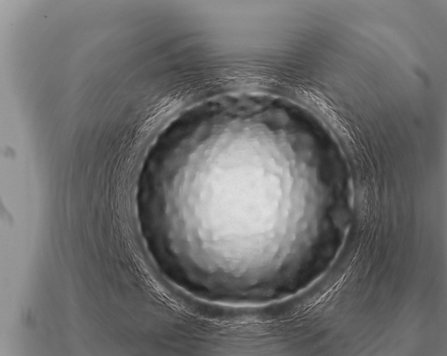 X0000091090433200708061640