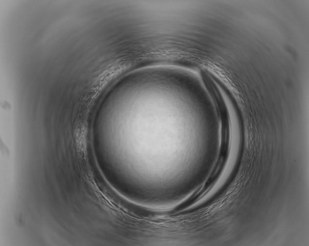 X0000091090434200708061640