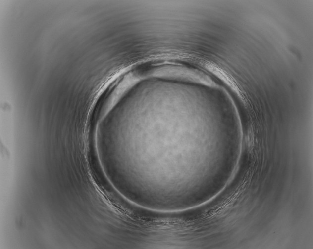 X0000091090436200708061640