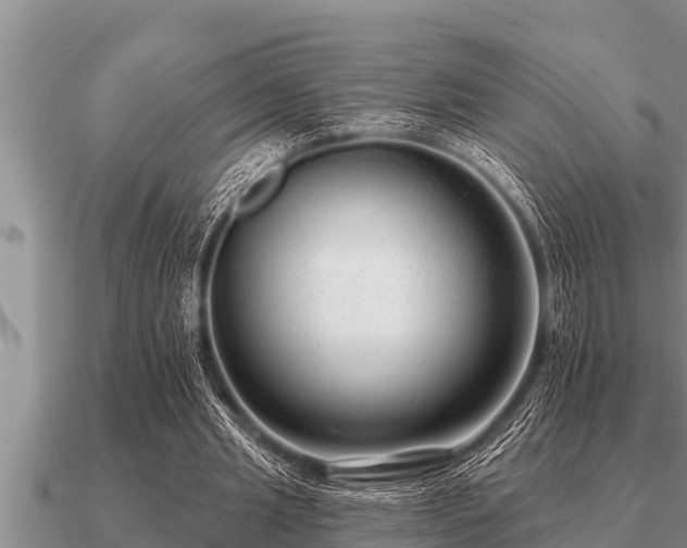 X0000091090437200708061640
