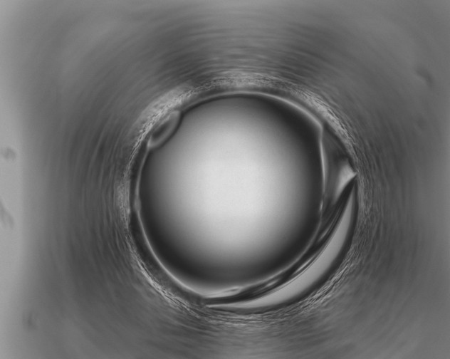 X0000091090438200708061640
