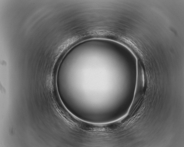 X0000091090439200708061640