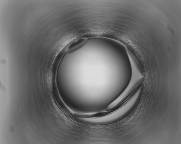 X0000091090440200708061640