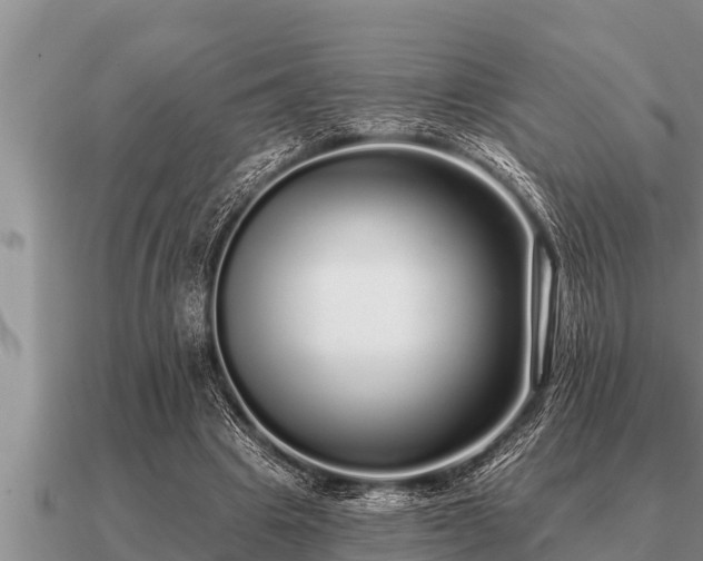 X0000091090441200708061640