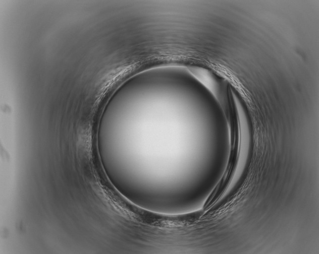 X0000091090442200708061640
