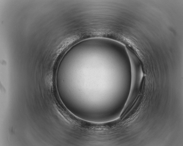 X0000091090443200708061640