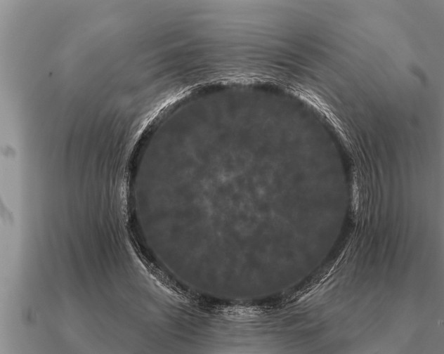 X0000091090444200708061640