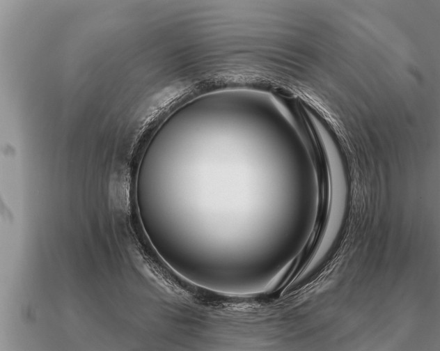 X0000091090446200708061640