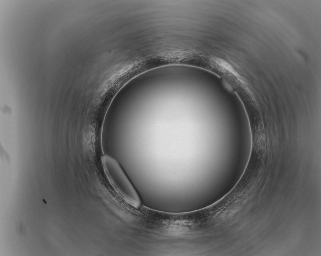 X0000091090448200708061641