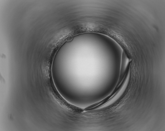 X0000091090450200708061641