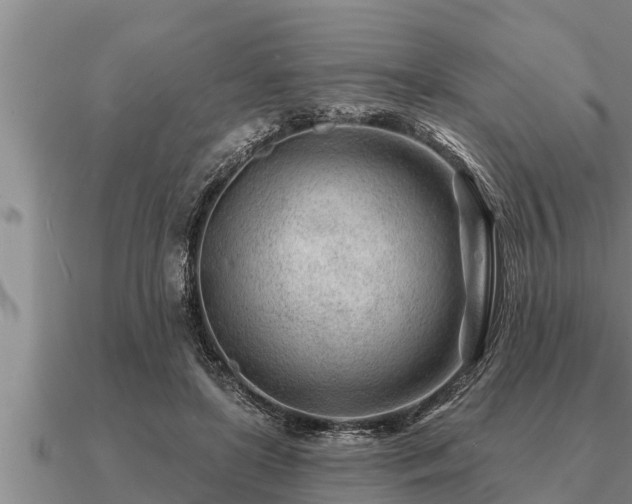 X0000091090451200708061641