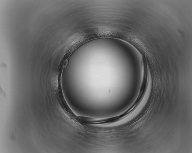 X0000091090454200708061641