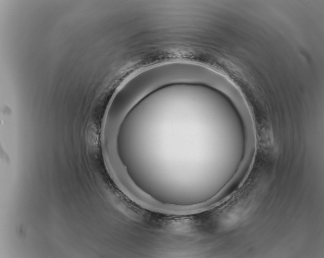 X0000091090456200708061641