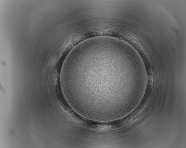 X0000091090458200708061641
