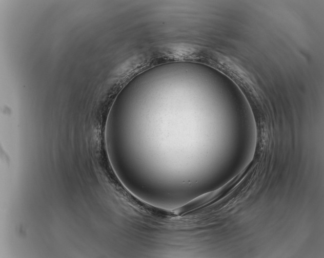 X0000091090461200708061641