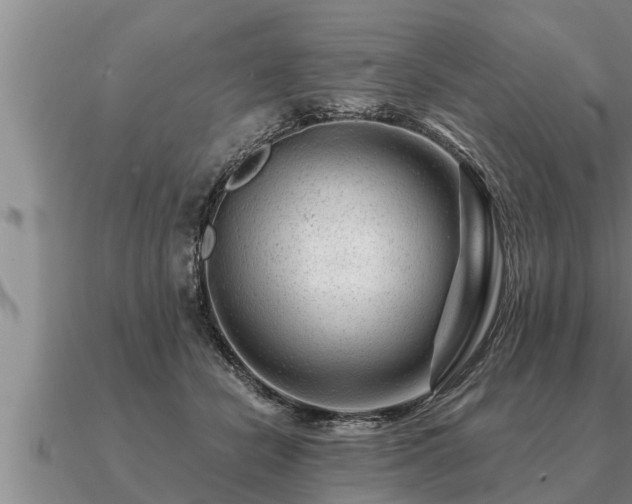 X0000091090462200708061641