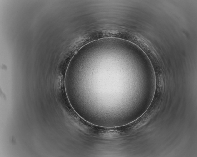 X0000091090463200708061641