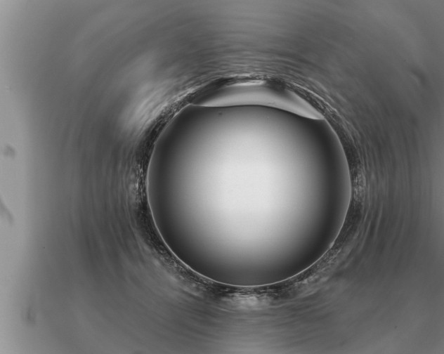 X0000091090464200708061641