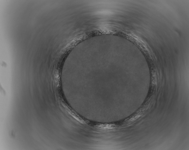 X0000091090465200708061641