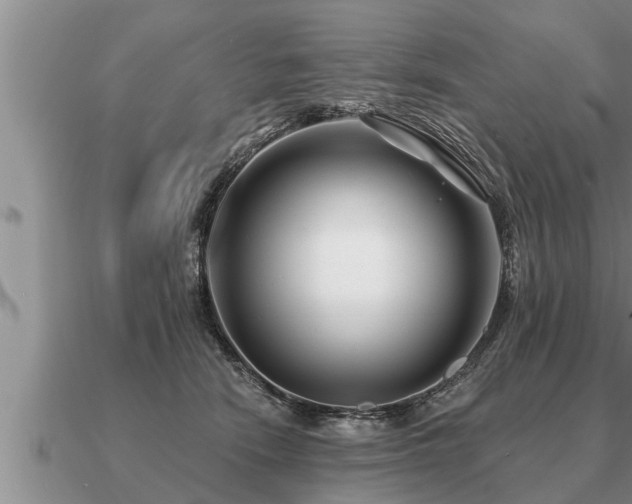 X0000091090466200708061641