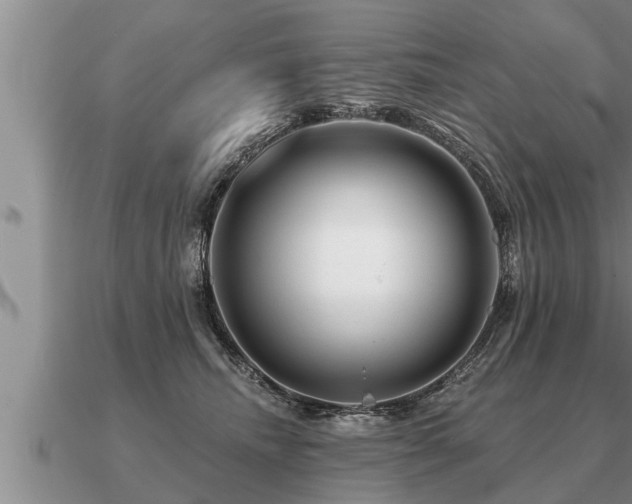 X0000091090468200708061641
